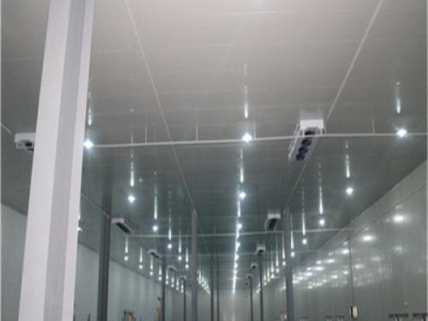 建造安裝食品低溫冷藏庫(kù)有哪些因素影響造價(jià)？